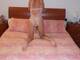 Foto privada de littlestar79hot