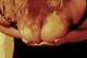 Foto privada de bbw_passion