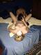 Foto privada de _Silvietta84