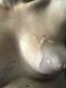 Foto privada de Leilaxxx