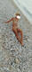 Foto privada de biondina_hot