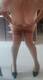 Foto privada de DolceAmelie