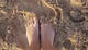 Foto privada de Giovanna_22