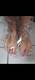 Foto privada de Lunafeet91