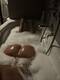 Foto privada de Aurora_