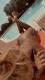 Foto privada de Blondy40