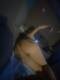 Foto privada de Blondy40