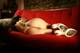 Foto privada de Bruna88