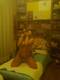 Foto privada de QueenOfPleasure91