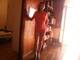 Private Photo of Amazzone_Ribelle